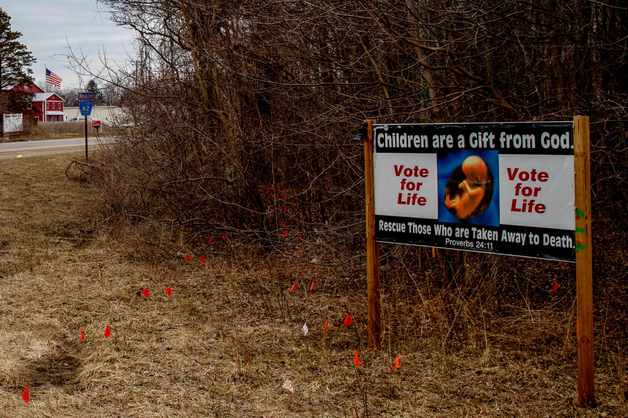 A roadside sign picturing a fetus reads, "Children are a Gift from God. Vote for Life," and quotes Proverbs 24:11.