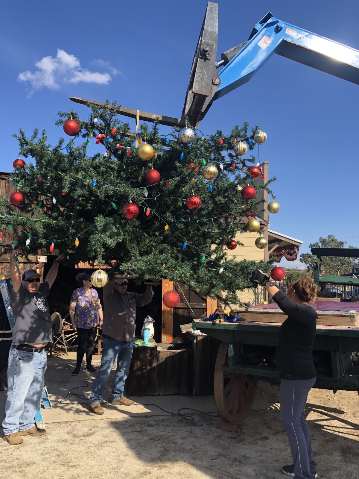 Ramona Chamber of Commerce members and volunteers erect the town Christmas Tree ready for the Lighting of the Tree ceremony on Dec. 7.