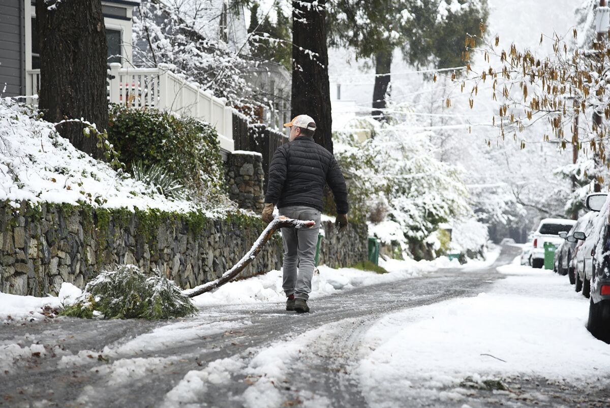 A resident removes a downed branch along Grove Street following a snow and rain storm, early Tuesday, Dec. 14, 2021, in Nevada City, Calif. (Elias Funez/The Union via AP)