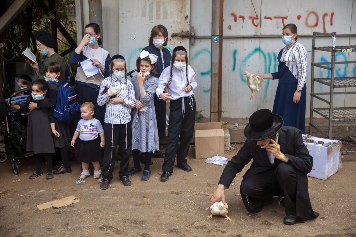 Ultra-Orthodox Jews in Israel check a chicken that will later be slaughtered as part of a religious ritual.