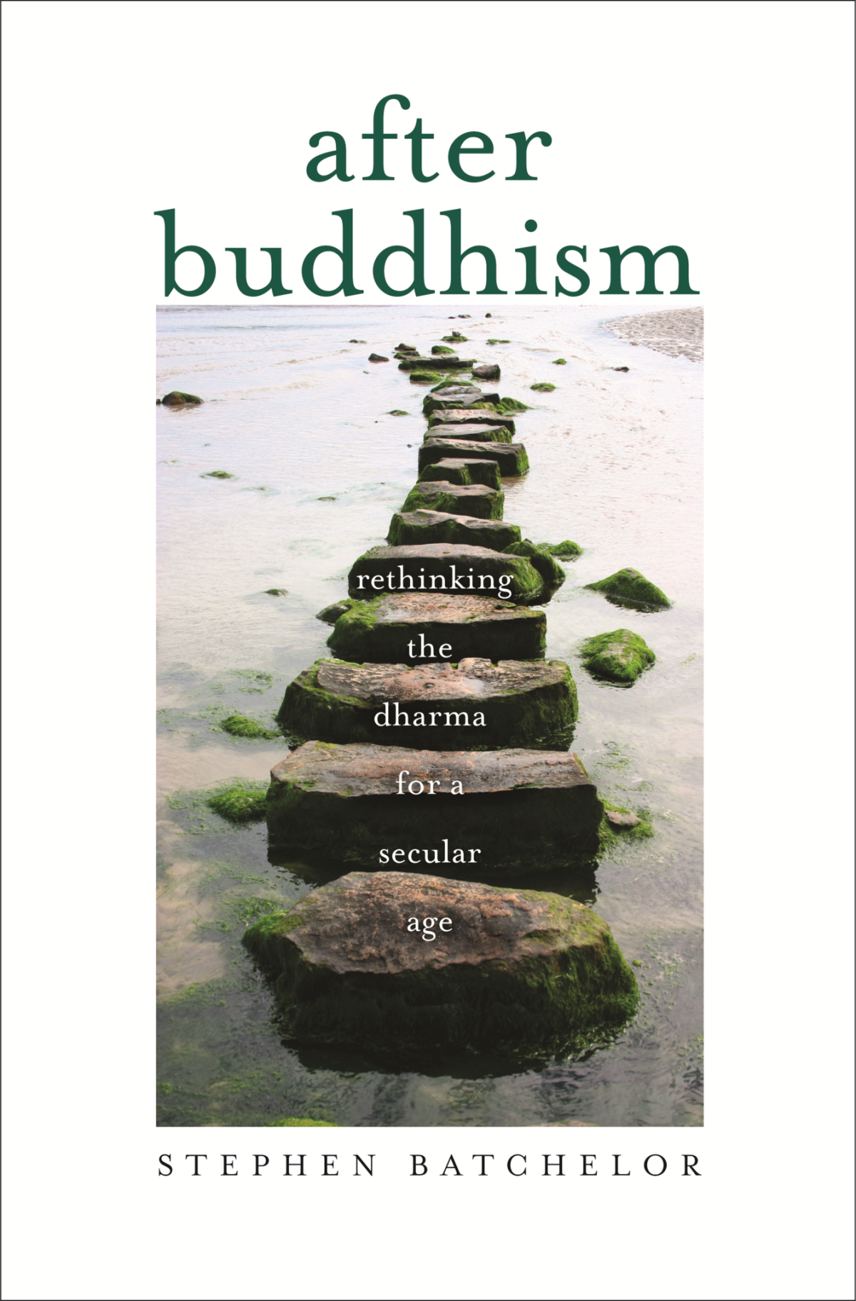 After Buddhism Rethinking the Dharma For the Secular Age