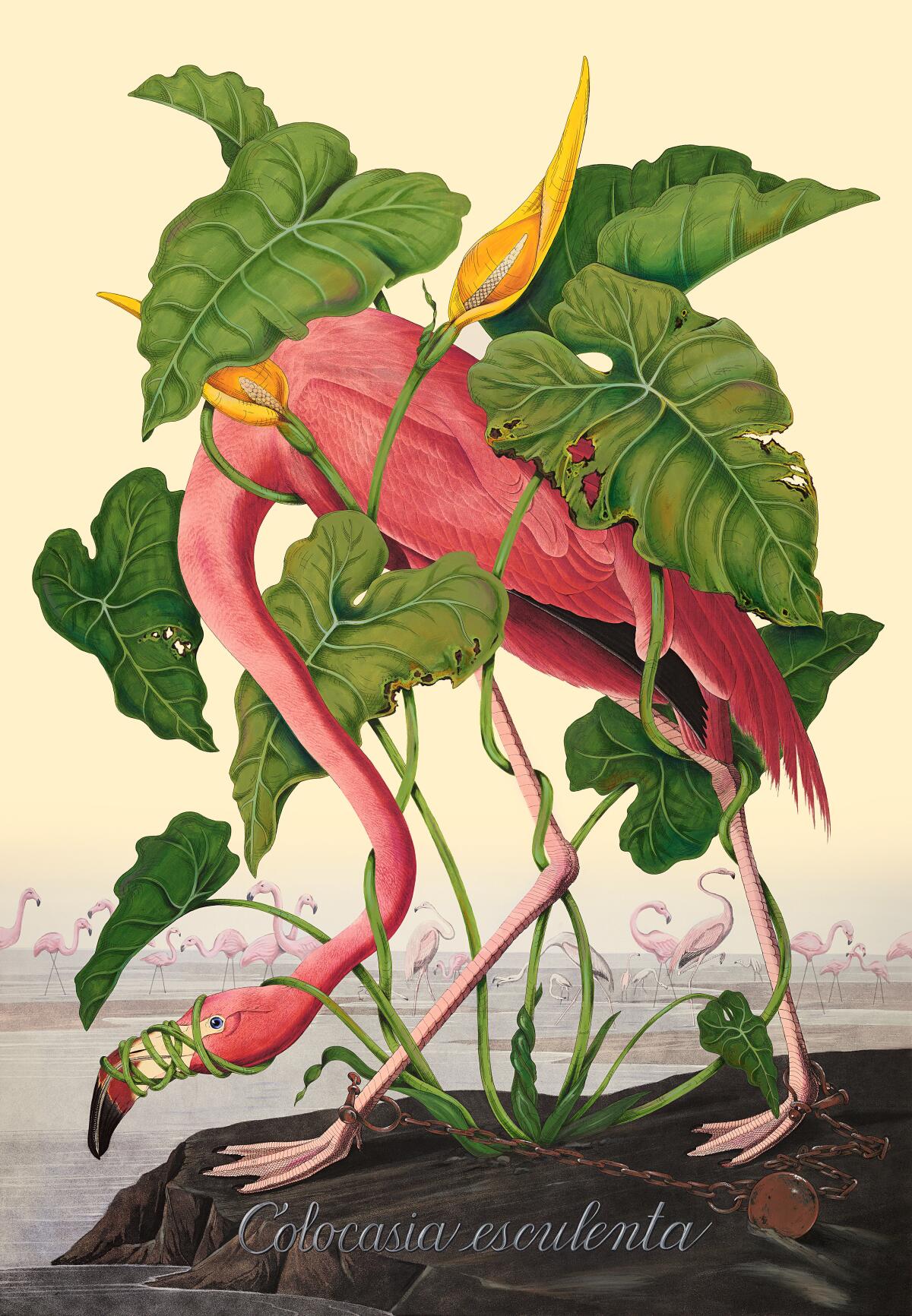 An image of a flamingo tangled in palm leaves.