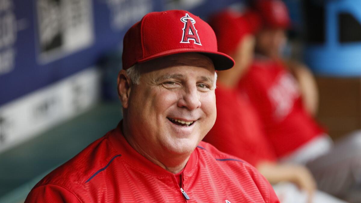 Dodgers' loss was Angels' gain when they hired Mike Scioscia - Los