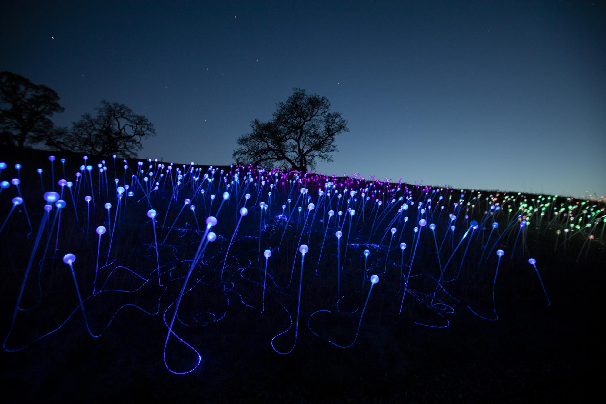 British artist Bruce Munro created the Field of Light.