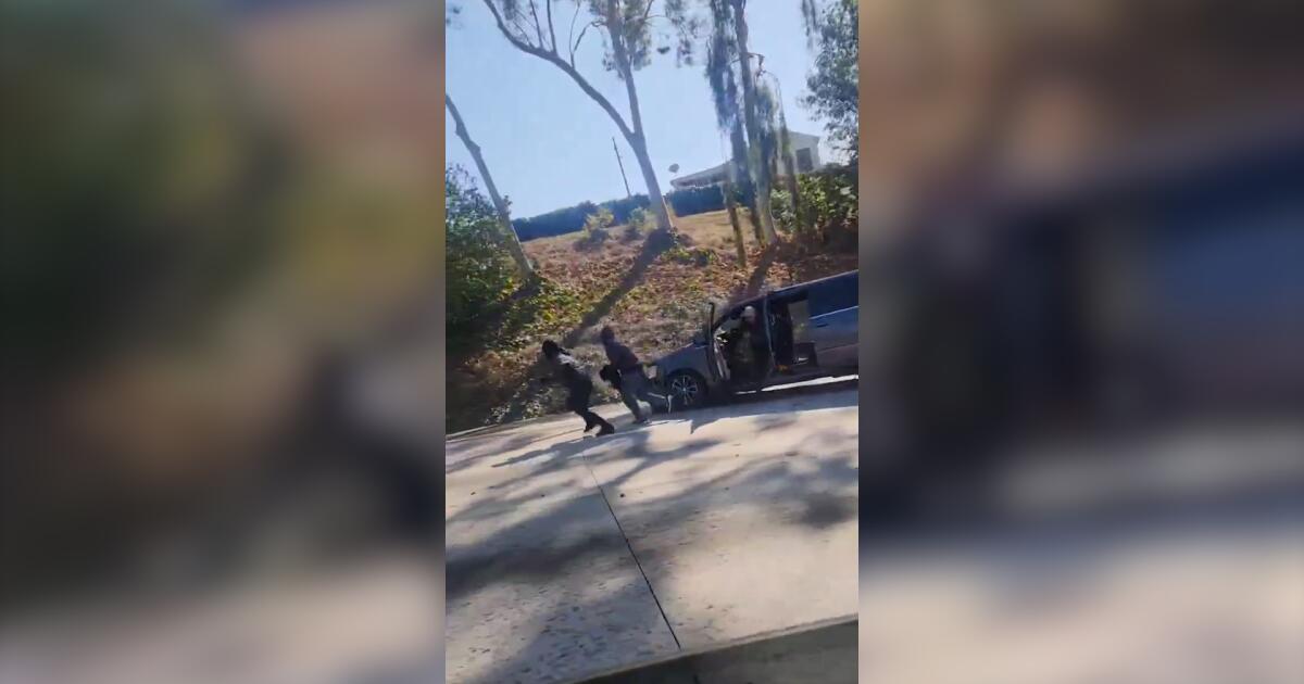 Video shows bizarre crash-turned-robbery on 10 Freeway in L.A.