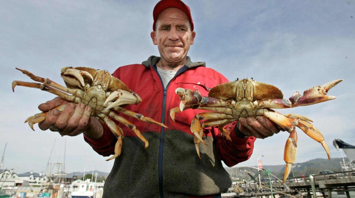 A Maryland crab feast in California