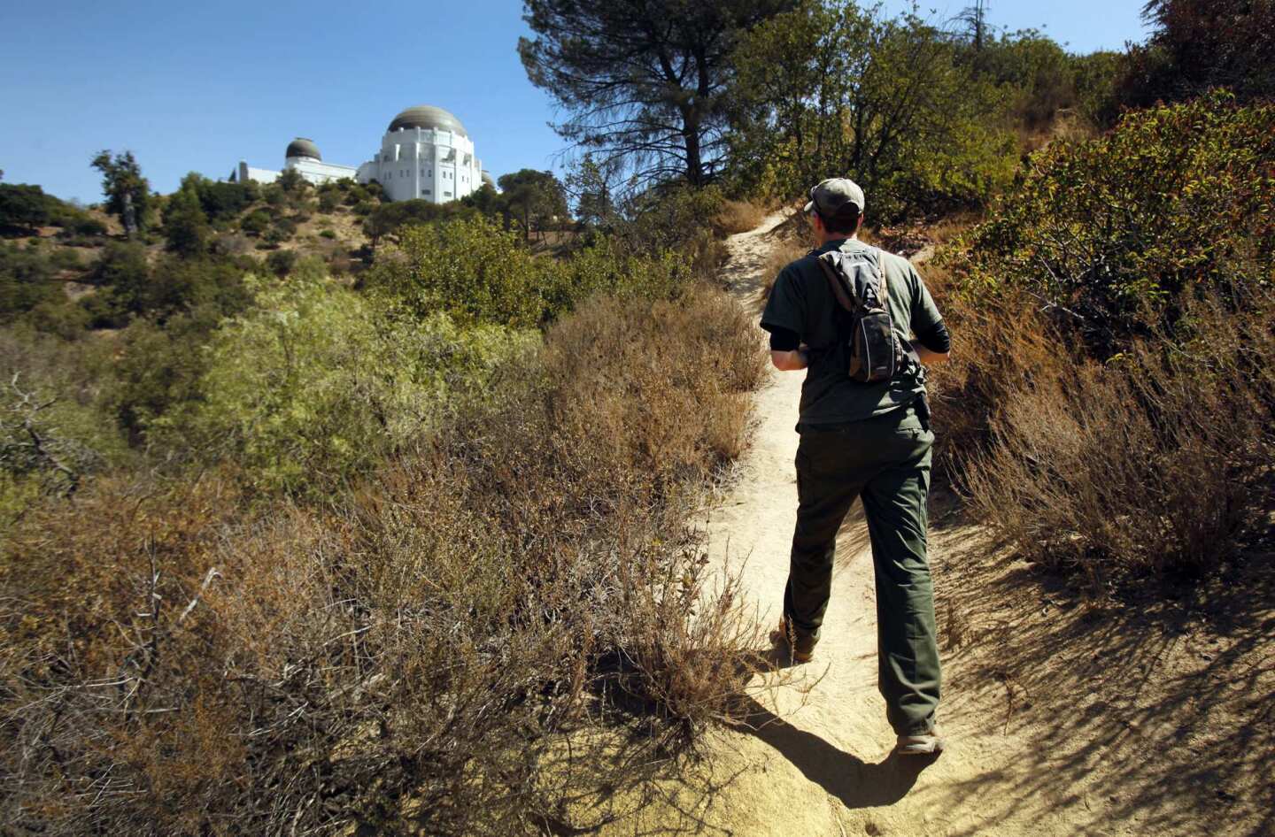Jeff Sikich, wildlife biologist with the National Park Service, walks a trail in Griffith Park near the observatory to access remote cameras used to monitor activity by mountain lion P-22, who scientists believe crossed both the 405 and 101 freeways to access one of the largest municipal parks in the country.