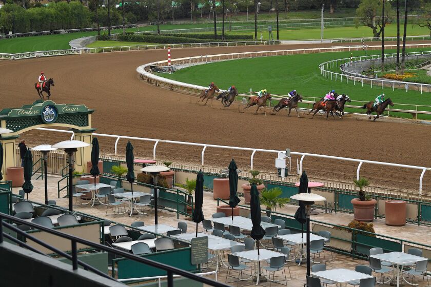 Horses run in the second race at Santa Anita Park to empty stands Saturday, March 14, 2020.