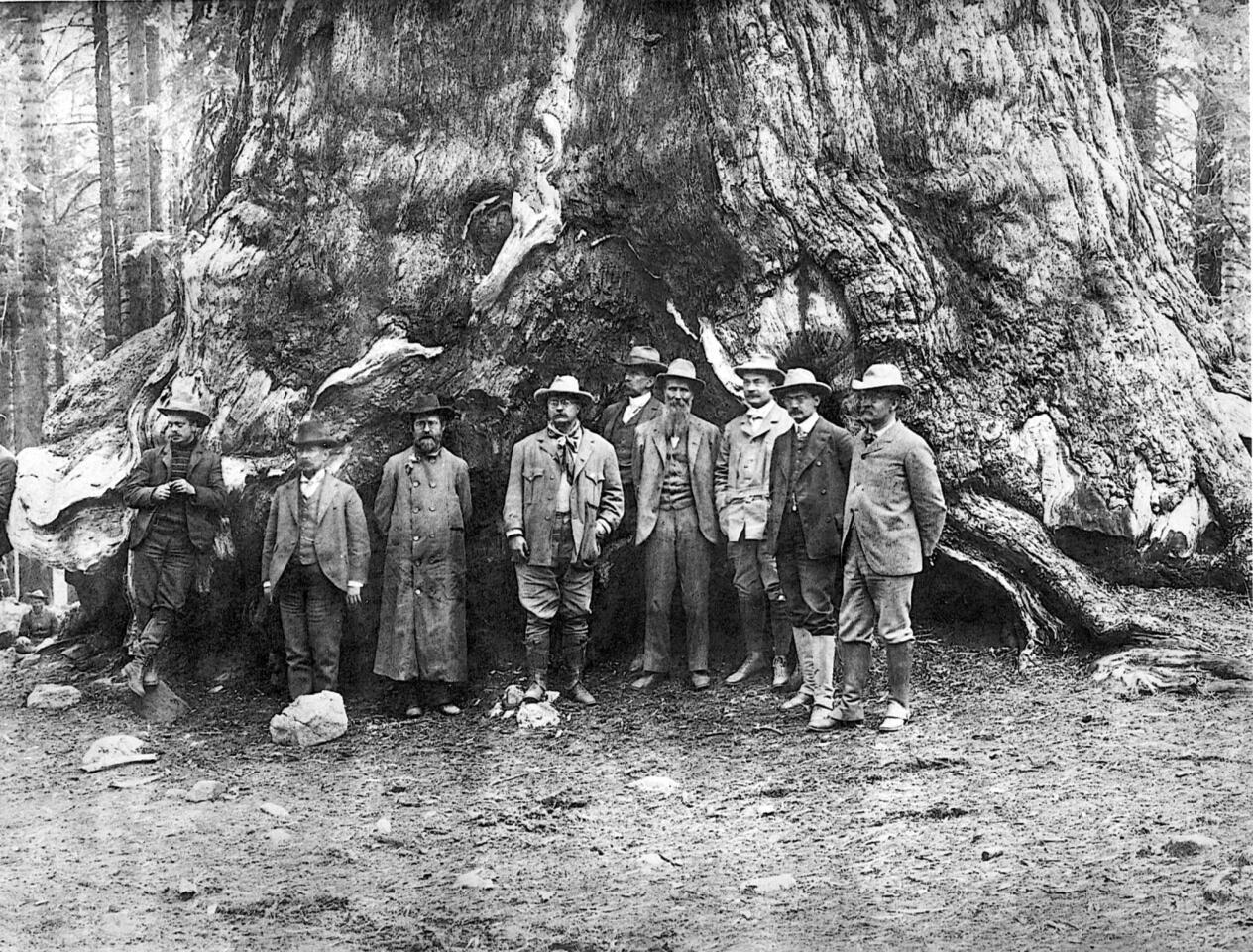 President Theodore Roosevelt, center left, and conservationist John Muir, center right, in Yosemite Valley in 1903.