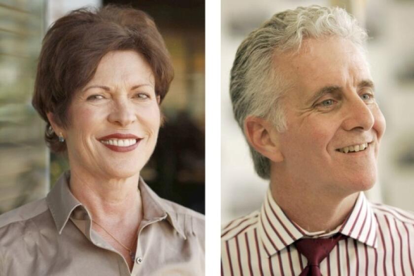 Former Paramount Pictures executive Christine Essel and Assemblyman Paul Krekorian (D-Los Angeles) are vying for an L.A. City Council seat in the eastern San Fernando Valley.
