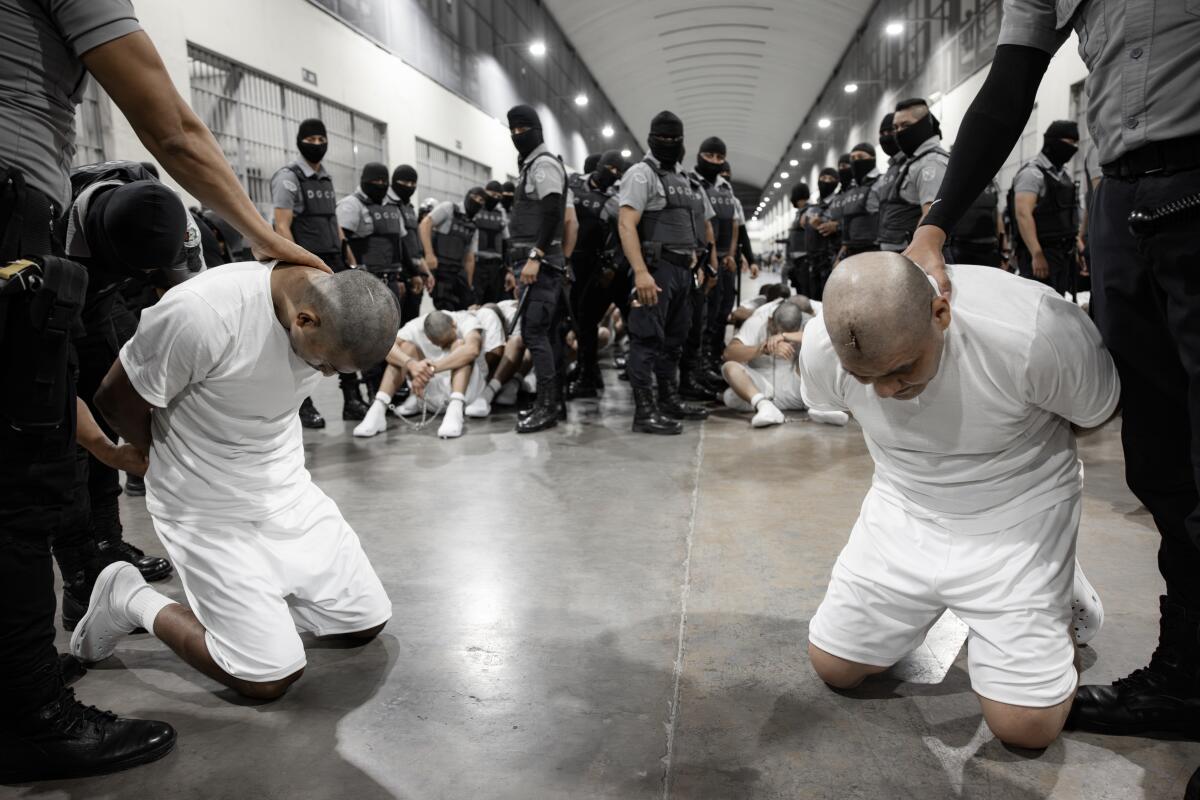 Inmates allegedly linked to criminal organizations kneel on the ground at CECOT on March 16, 2025 in El Salvador.