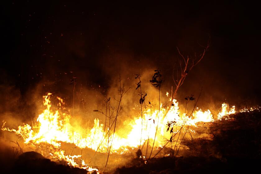 A fire burns in highway margins in the city of Porto Velho, Rondonia state, part of Brazil's Amazon, Sunday, Aug. 25, 2019. (AP Photo/Eraldo Peres)