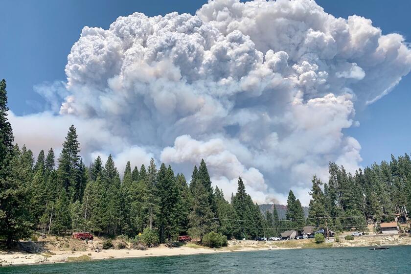 The Creek fire had burned 5,000 acres in the Sierra National Forest by Saturday afternoon.