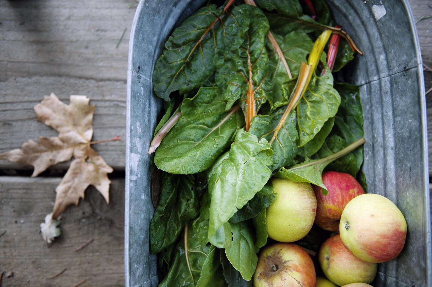 Windrose farm-to-holiday-table dinner