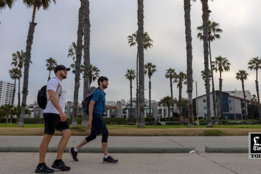 LA Times Today: Is L.A. walkable? They walked 41 miles in a day and have thoughts