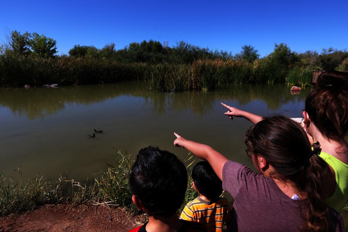 Vegas is exciting and all, but sometimes you just need to get away. Members of the Wilcox and Pilimai families point out a pair of American coots at the Clark County Wetlands Park, nine miles from the Las Vegas Strip.
