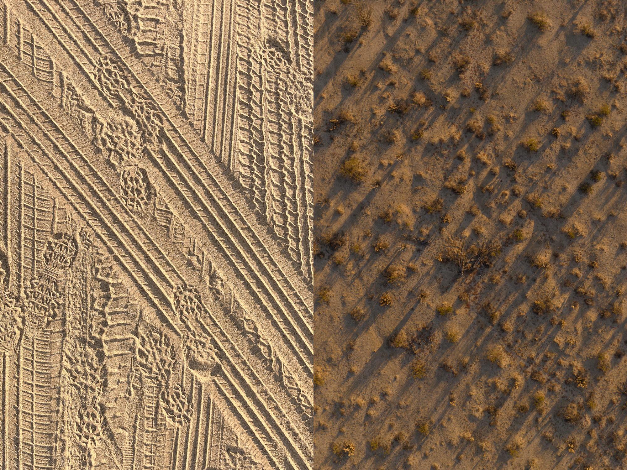 Two images side by side of footprints and tire tracks in the sand, left, and an overhead view of desert brush, right.