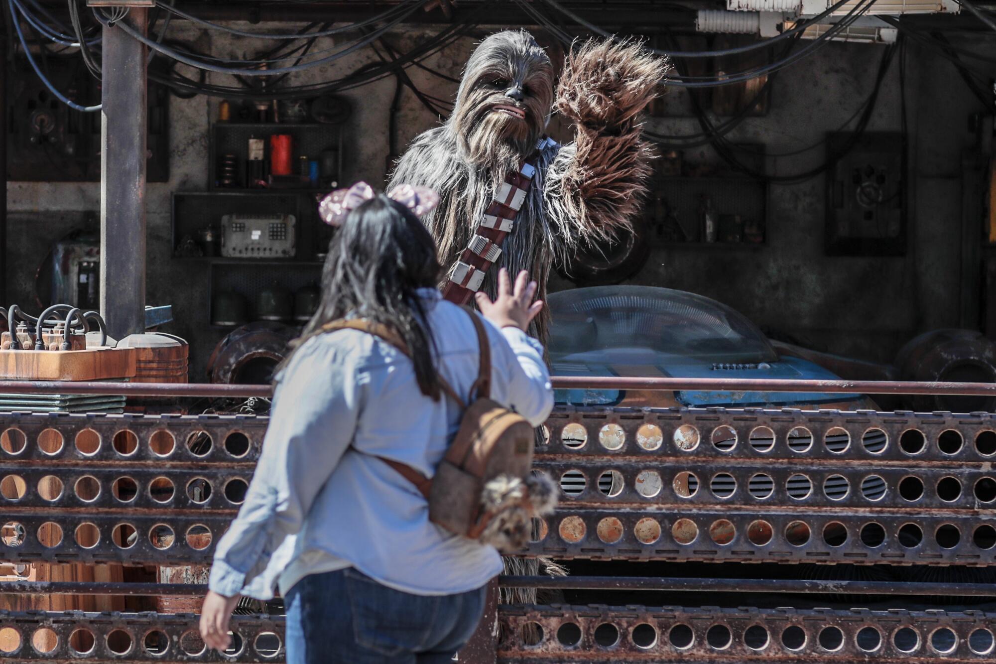 Chewbacca greets a park guest in the Star Wars Galaxy's Edge area at Disneyland.