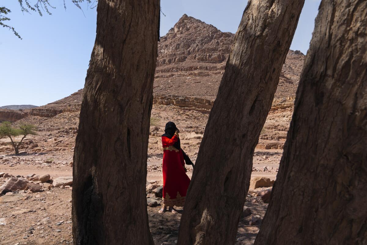 Sinai Trail