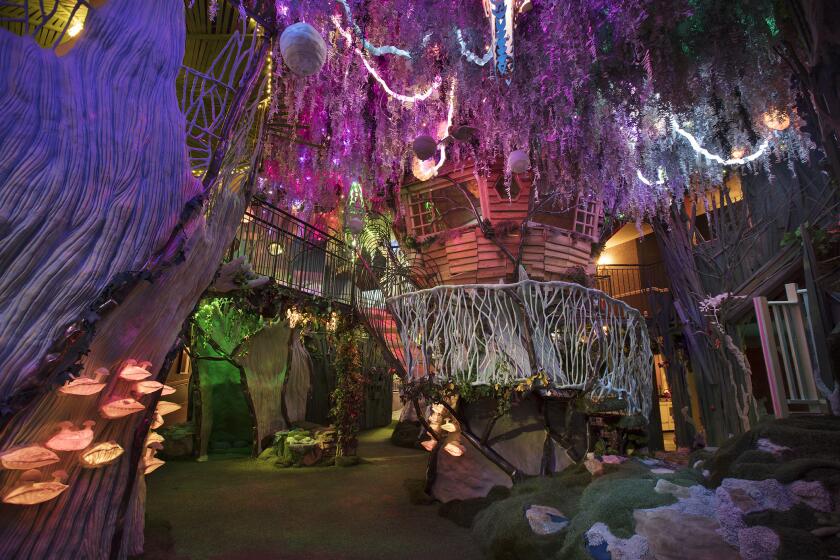 Glowing trees, and hidden paths inside Meow Wolf's "House of Eternal Return."