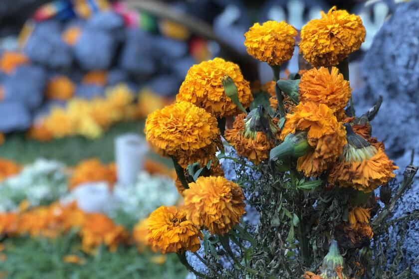 La celebración del Día de los Muertos en el Cmenterio de Hollywood Forever será este año de un día completo.