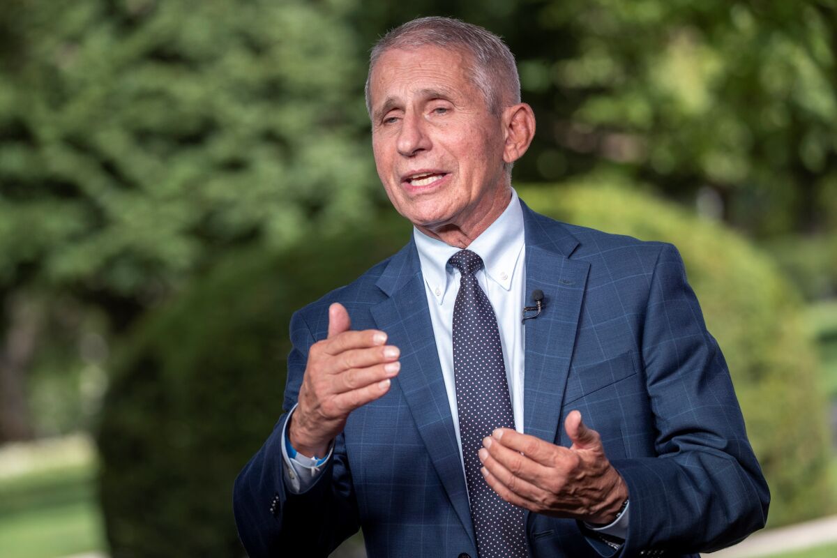 Fauci rejects GOP claim that Covid wave is fault of migrants