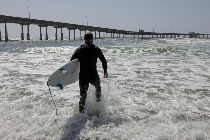 SAN DIEGO, CA - MAY 09, 2024: Surfer Anthony Caperelli enters the ocean as he heads out to surf next to the Ocean Beach Pier at Ocean Beach in San Diego on Thursday, May 09, 2024.