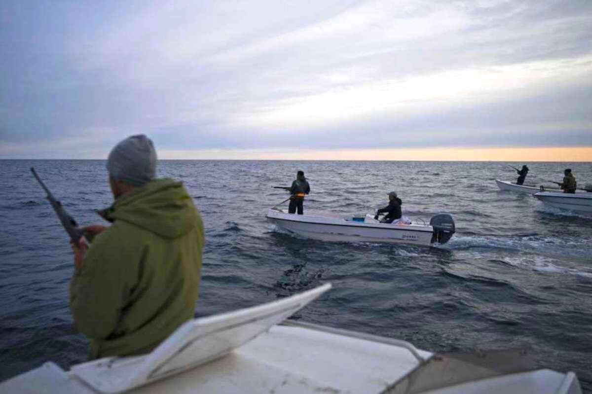 Varias personas con fusil navegan en botes para cazar ballenas cerca de Kulusuk, Groenlandia.