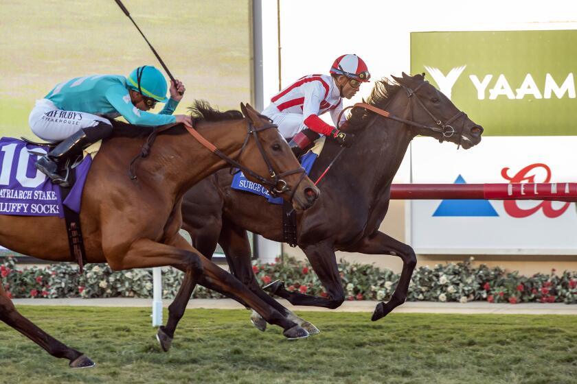 In this image provided by Benoit Photo, Surge Capacity, right, with Joel Rosario aboard, outfinishes stablemate Fluffy Socks, left, with Irad Ortiz Jr. aboard, to win the Grade I $300,000 Matriarch Stakes horse race Sunday, Dec. 3, 2023, at Del Mar Thoroughbred Club in Del Mar, Calif. (Benoit Photo via AP)