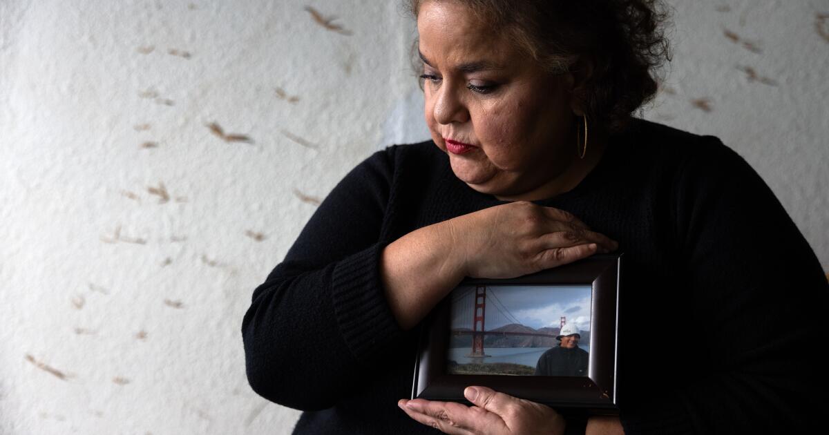 LA çiftinin davası göçmen vize reddine ışık tutuyor