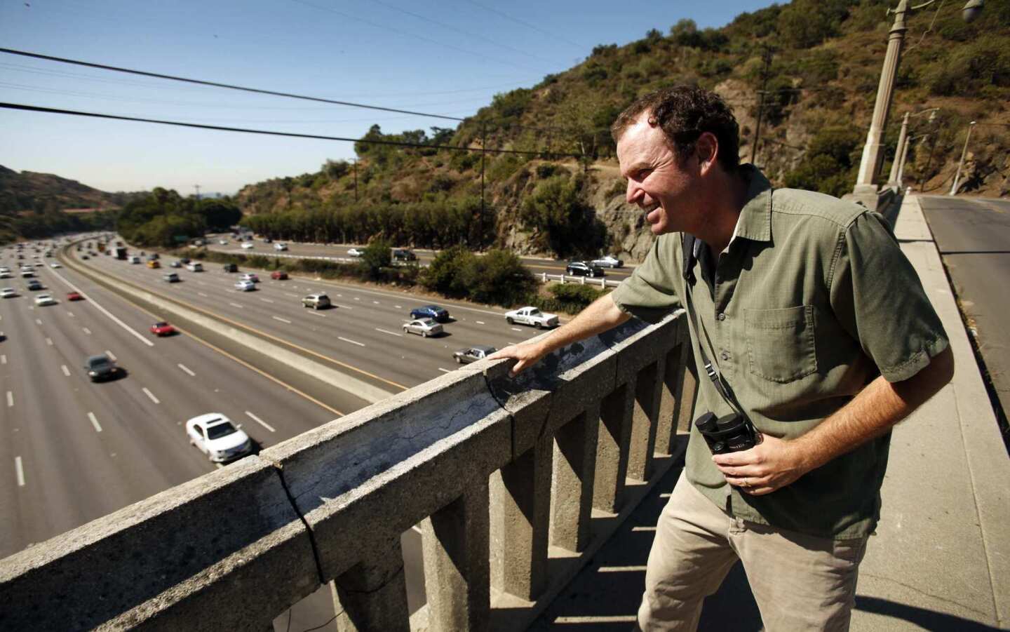 Daniel S. Cooper, president of Cooper Ecological Monitoring, crosses the Mulholland Drive Bridge over the 101 Freeway through the Cahuenga Pass. Cooper believes the bridge may have been the route taken by mountain lion P-22, who managed to cross both the 405 and 101 freeways to reach Griffith Park. Cooper Ecological Monitoring places remote cameras on potential wildlife corridors for the Griffith Park Wildlife Connectivity Study to evaluate the movement of mammals through the corridors that may connect Griffith Park to neighboring natural areas.