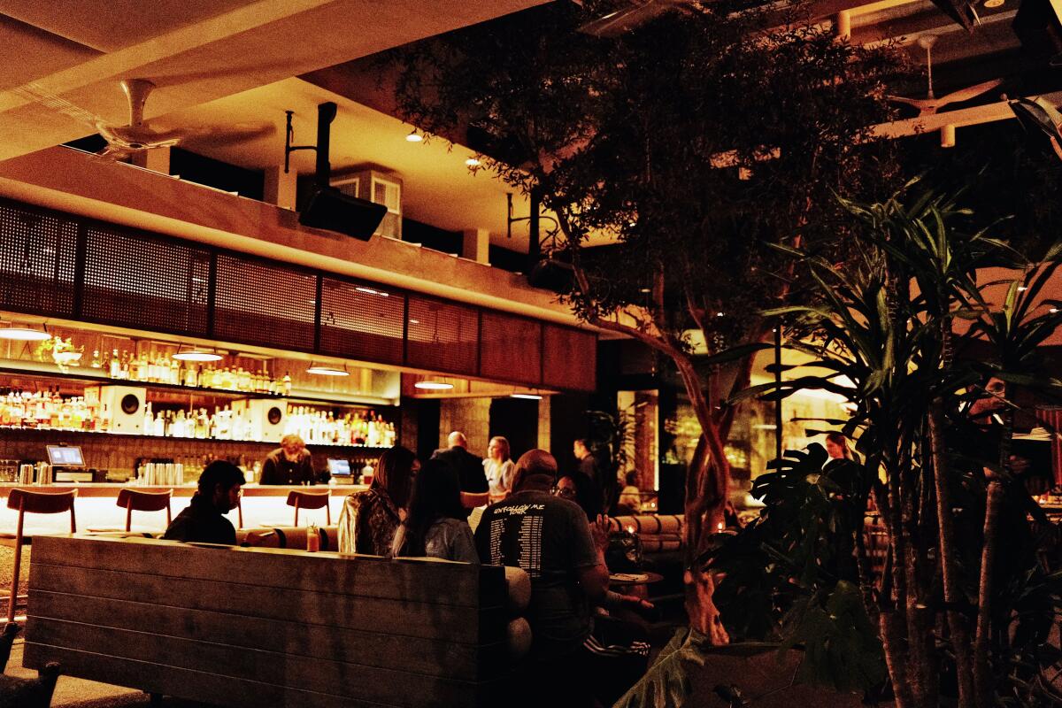 The listening lounge and bar of Darling in West Hollywood at night.