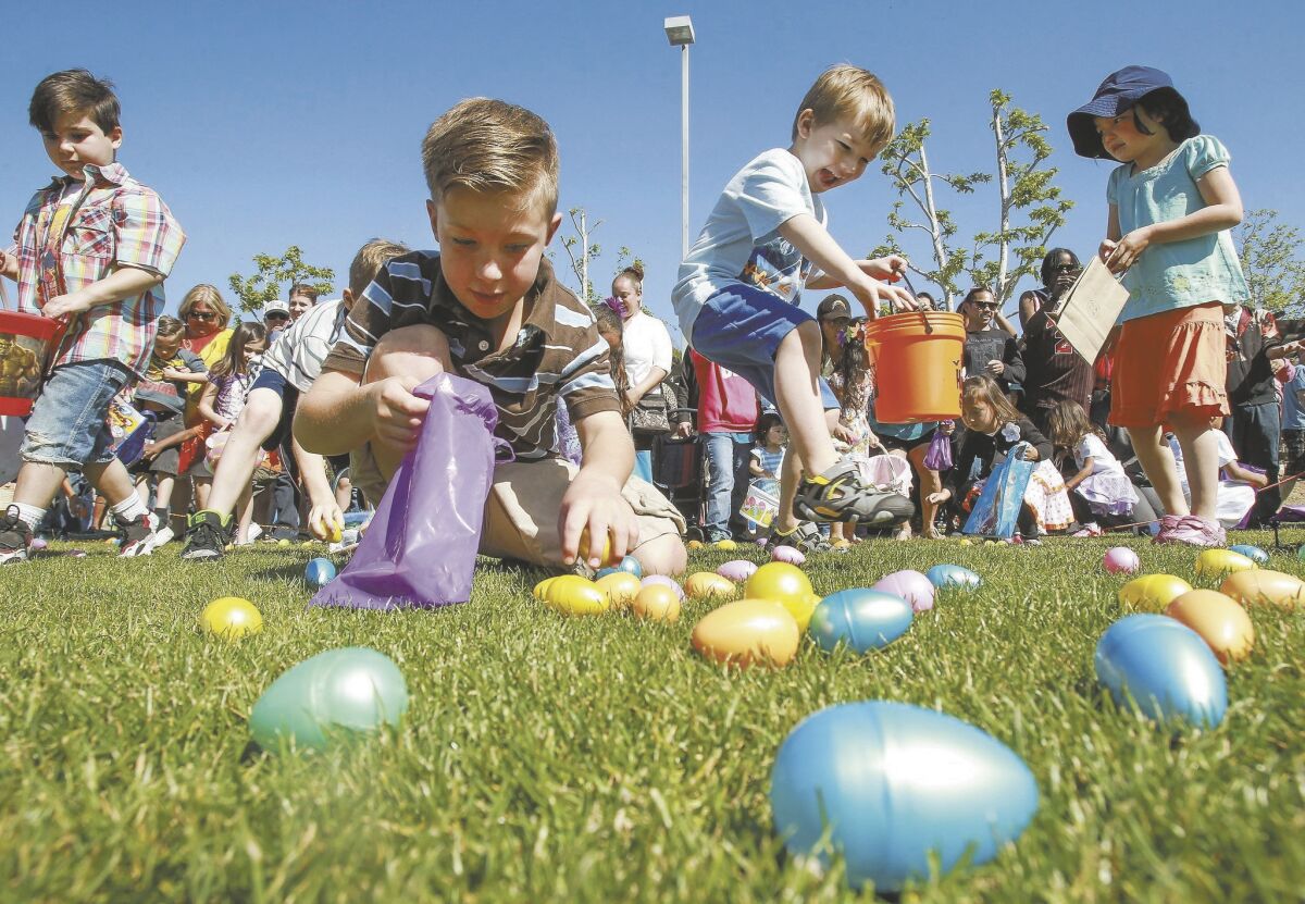 At the sound of a horn, children race to find as many Easter eggs as they can.