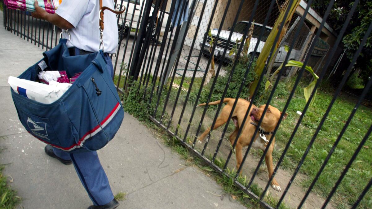 Louisville Ranks 5th In Nation For Dog Attacks On Postal Service Mail  Carriers - LEO Weekly