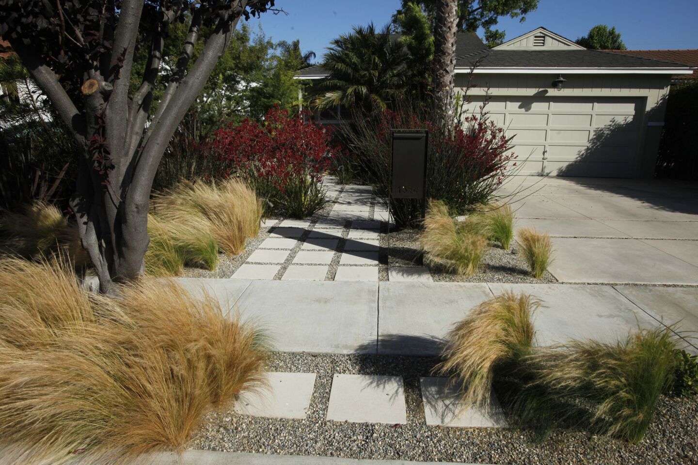 Grass-free landscaping