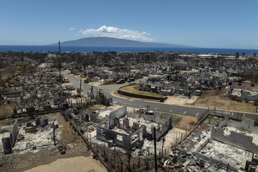 FILE - Destroyed homes are visible in the aftermath of a devastating wildfire in Lahaina, Hawaii, Aug. 22, 2023. (AP Photo/Jae C. Hong, File)