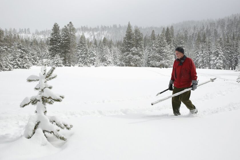 Frank Gehrke, chief of the California Cooperative Snow Surveys Program for the Department of Water Resources, crosses a snow covered meadow after conducting the second manual snow survey of the season at Phillips Station near Echo Summit, Calif., Tuesday, Feb. 2, 2016. The survey showed the snowpack at 130 percent of normal for this site at this time of year. (AP Photo/Rich Pedroncelli)