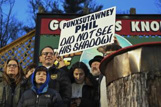 Pennsylvania Gov. Josh Shapiro watches Punxsutawney Phil, the weather prognosticating groundhog, during the 138th celebration of Groundhog Day on Gobbler's Knob in Punxsutawney, Pa., Friday, Feb. 2, 2024. Phil's handlers said that the groundhog has forecast an early spring. (AP Photo/Barry Reeger)