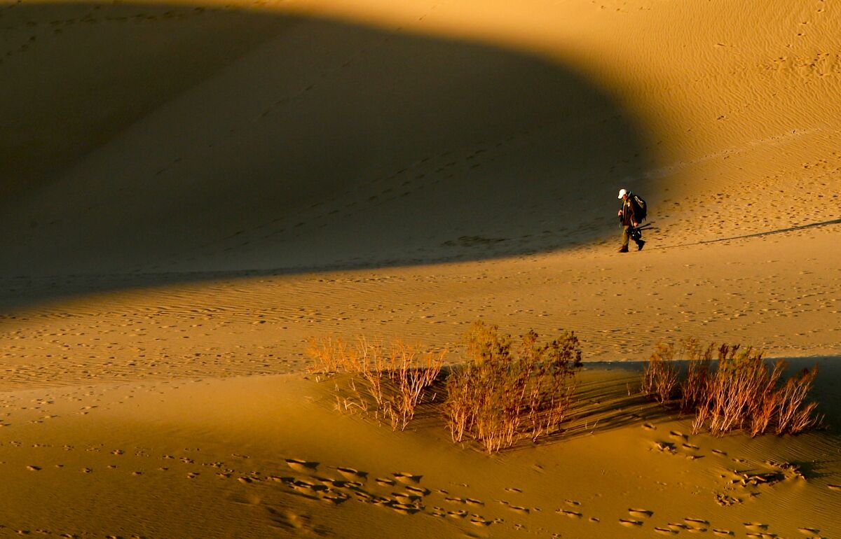 Bathed in early morning light, a photographer crosses Mesquite Flat Dunes in Death Valley National Park.