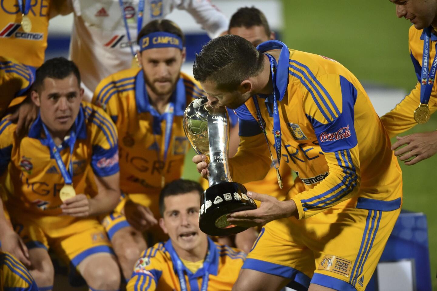 Tigres campeón