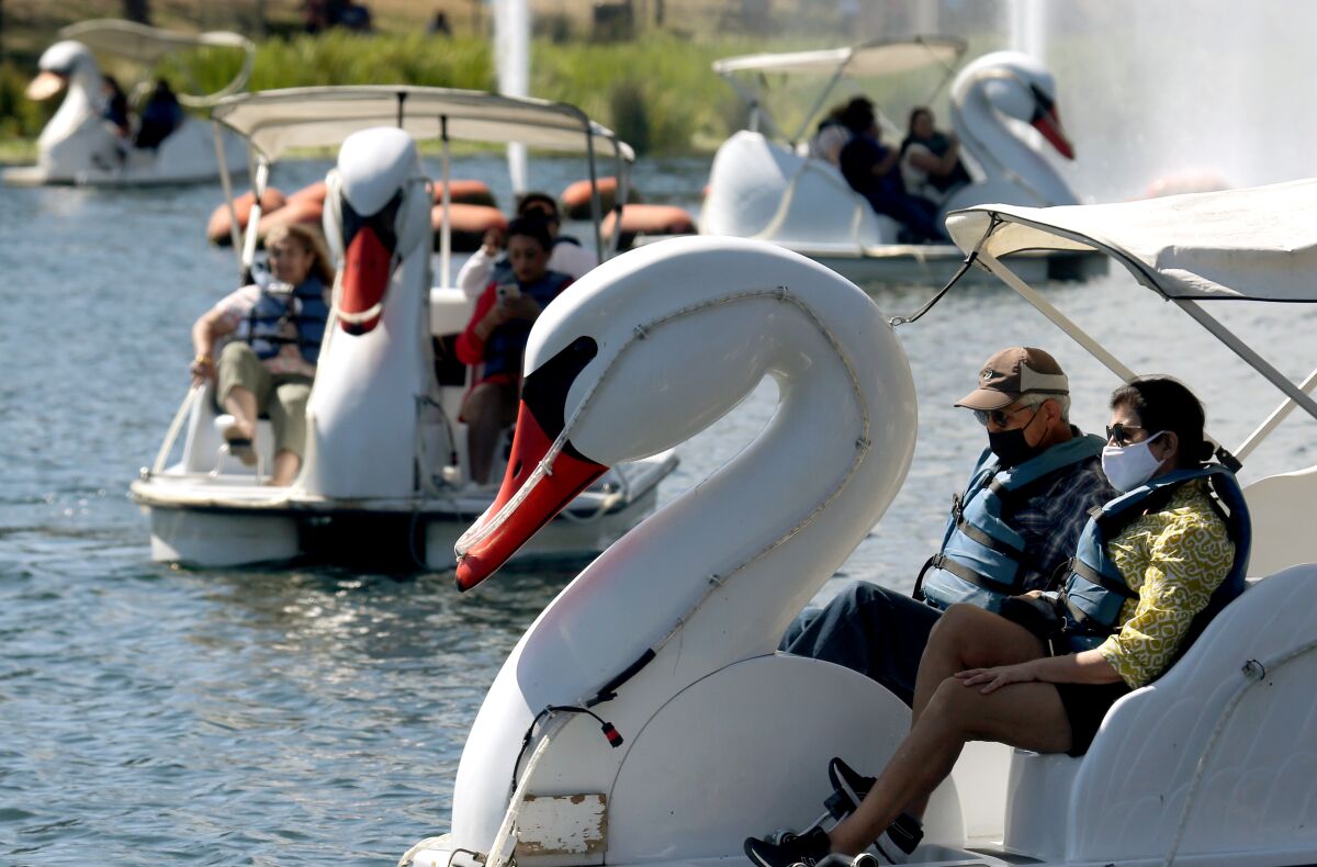 Debra and Manuel Mora ride in swan boats as Echo Park reopens to the public on Wednesday.
