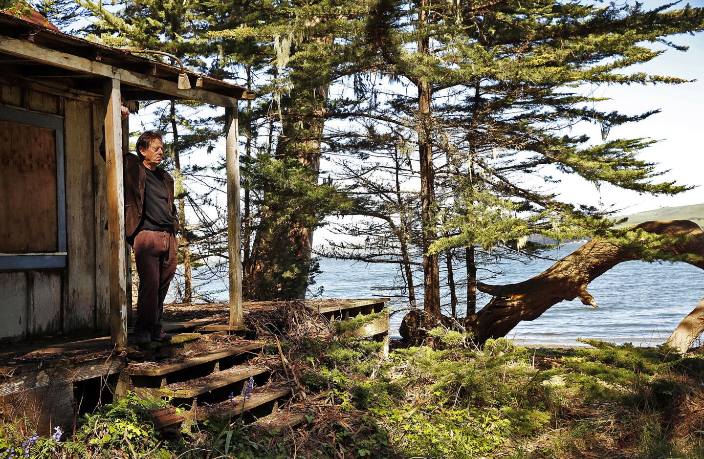 Peter Lewis, youngest son of artist Clayton Lewis stands on the redwood deck of the main house he helped his father build, adding an architectural aesthetic belonging to the 1960s and '70s to one of the original Coast Miwok buildings at Laird's Landing in Point Reyes National Seashore.