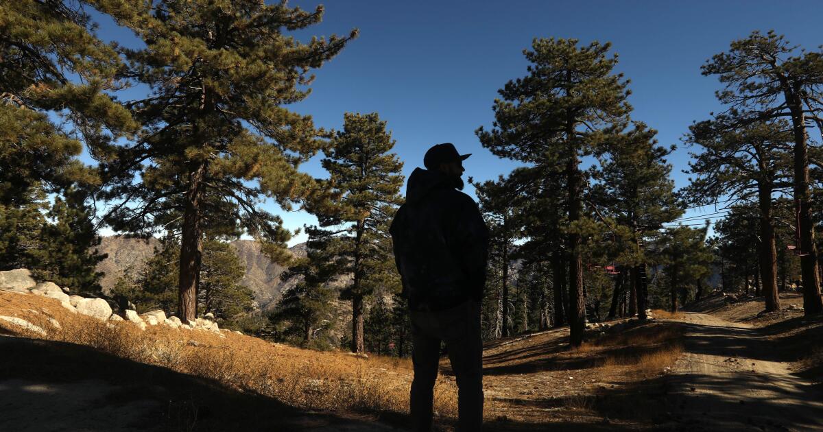 Ortaklar Kaliforniya kayak merkezinde 'özel' kulüp kuruyor ve endişeleri artırıyor
