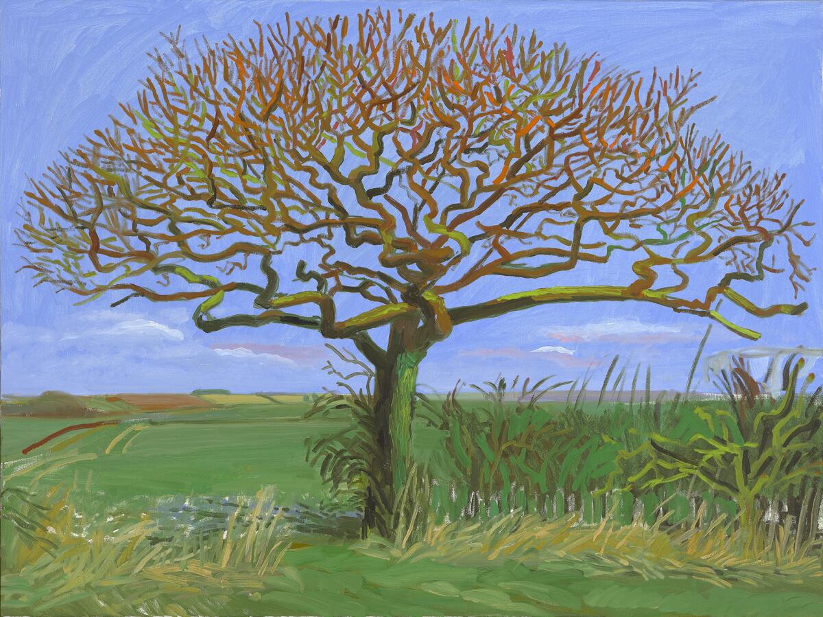 A leafless tree stands alone in a field beneath a pale blue sky. 