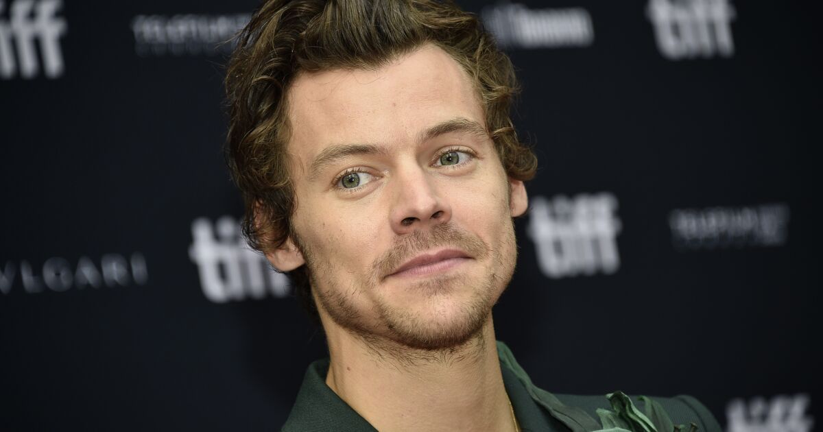 Harry Styles postponed Chicago show due to band/crew illness