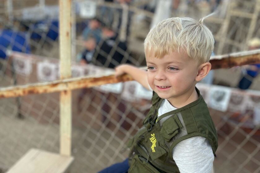 Danielle Eagle sent this photo of her son, Kingston Curzon, 4, attending the Poway Rodeo with his Grandpa Mick Curzon.