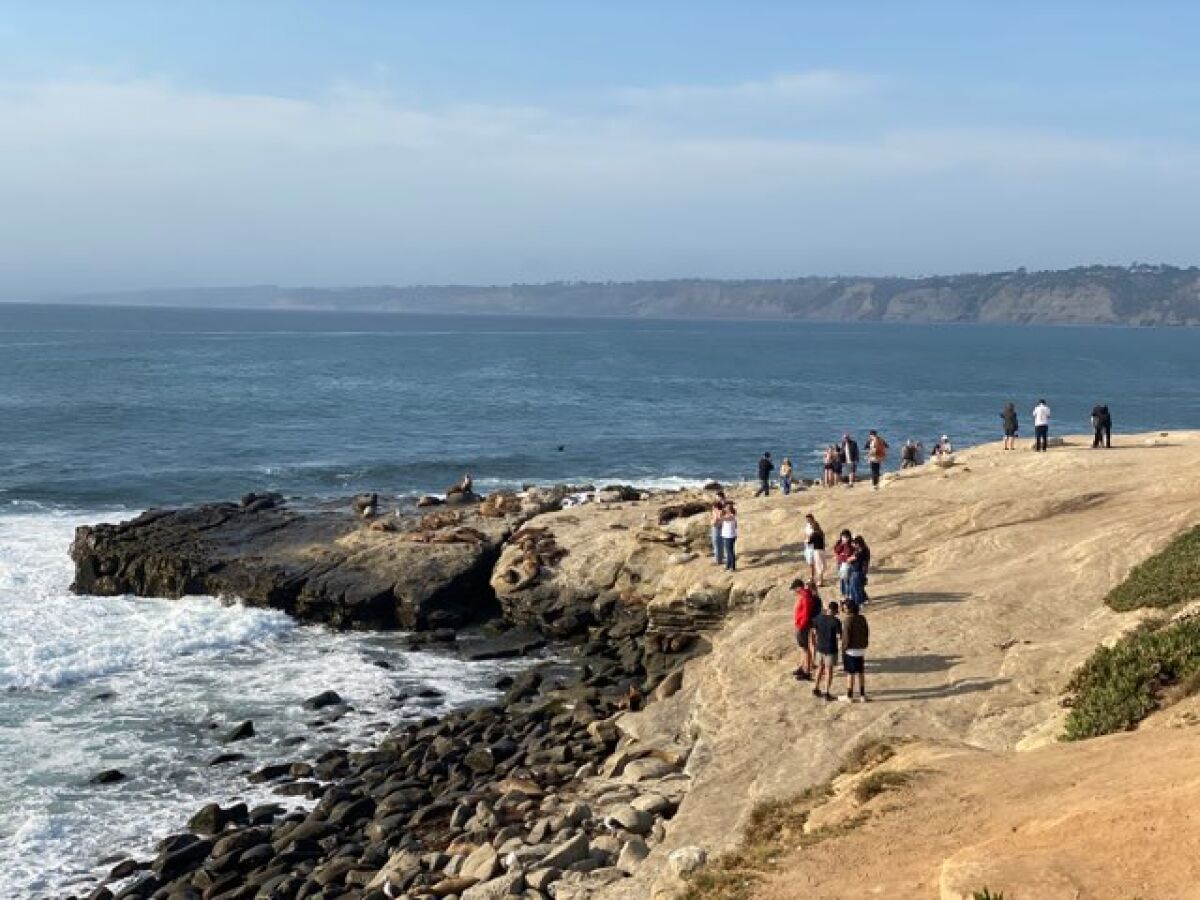 Beach-goers and sea lions gather at Point La Jolla.