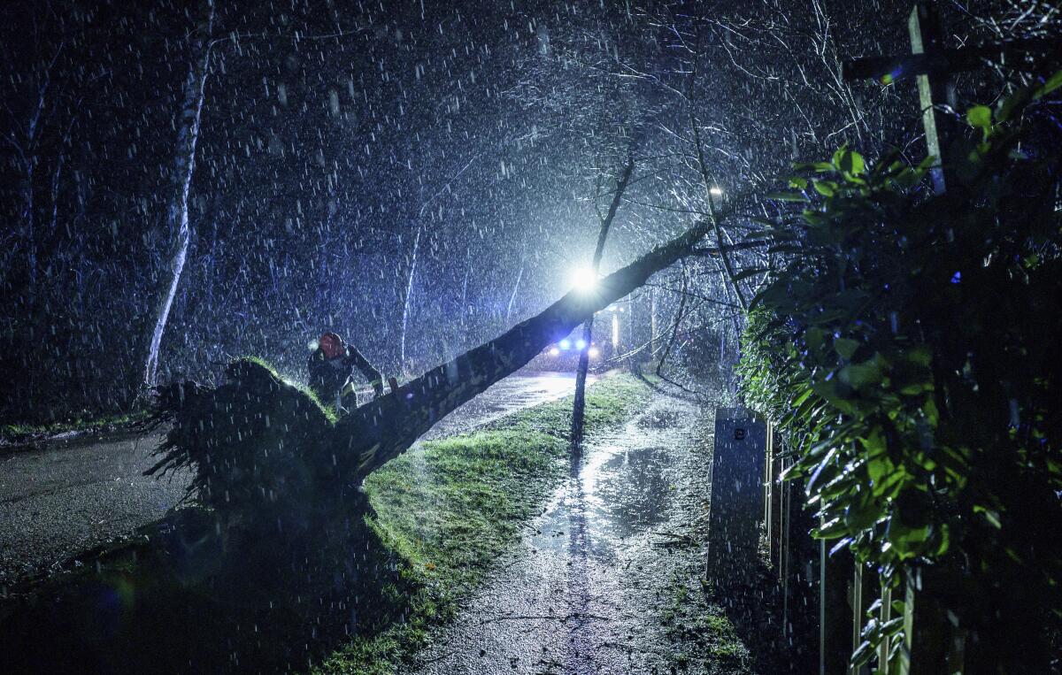 Emergency personnel in the pouring rain pull an uprooted tree with rope.