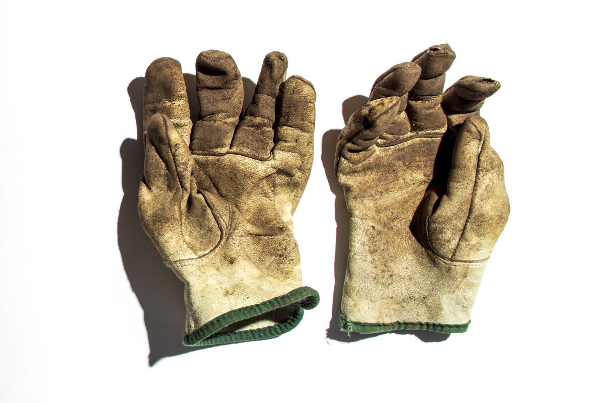 Now is a good time to replace your holey garden gloves