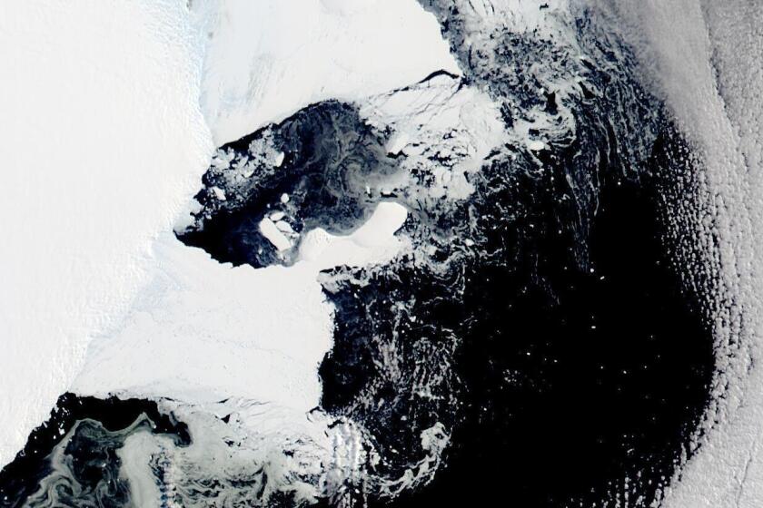 This satellite image provided by NASA, Aqua MODIS 12 on March 2022 shows the main piece of C-37 close to Bowman Island. Scientists are concerned because an ice shelf the size of New York City collapsed in East Antarctica, an area that had long been thought to be stable. The collapse last week was the first time scientists have ever seen an ice shelf collapse in this cold area of Antarctica. (NASA via AP)